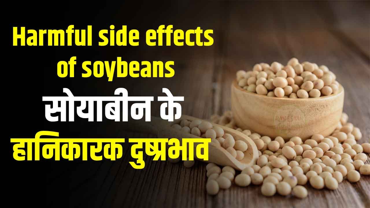 सोयाबीन के हानिकारक दुष्प्रभाव Harmful side effects of soybeans