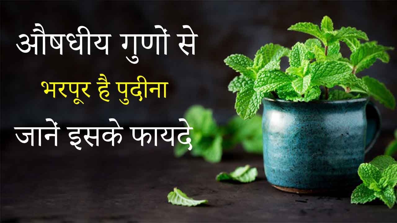 Benefits of peppermint