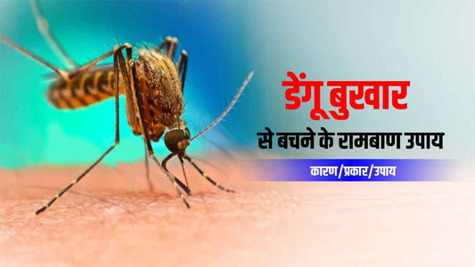 डेंगू बुखार (dengue fever)के कारण ,प्रकार, बचाव,उपचार