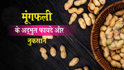 मूंगफली के अद्भुत फायदे (Peanut) और नुकसान