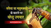 ततैया या मधुमक्खी के काटने(Wasp or Bee Bites) पर यह 8 घरेलू उपचार करें