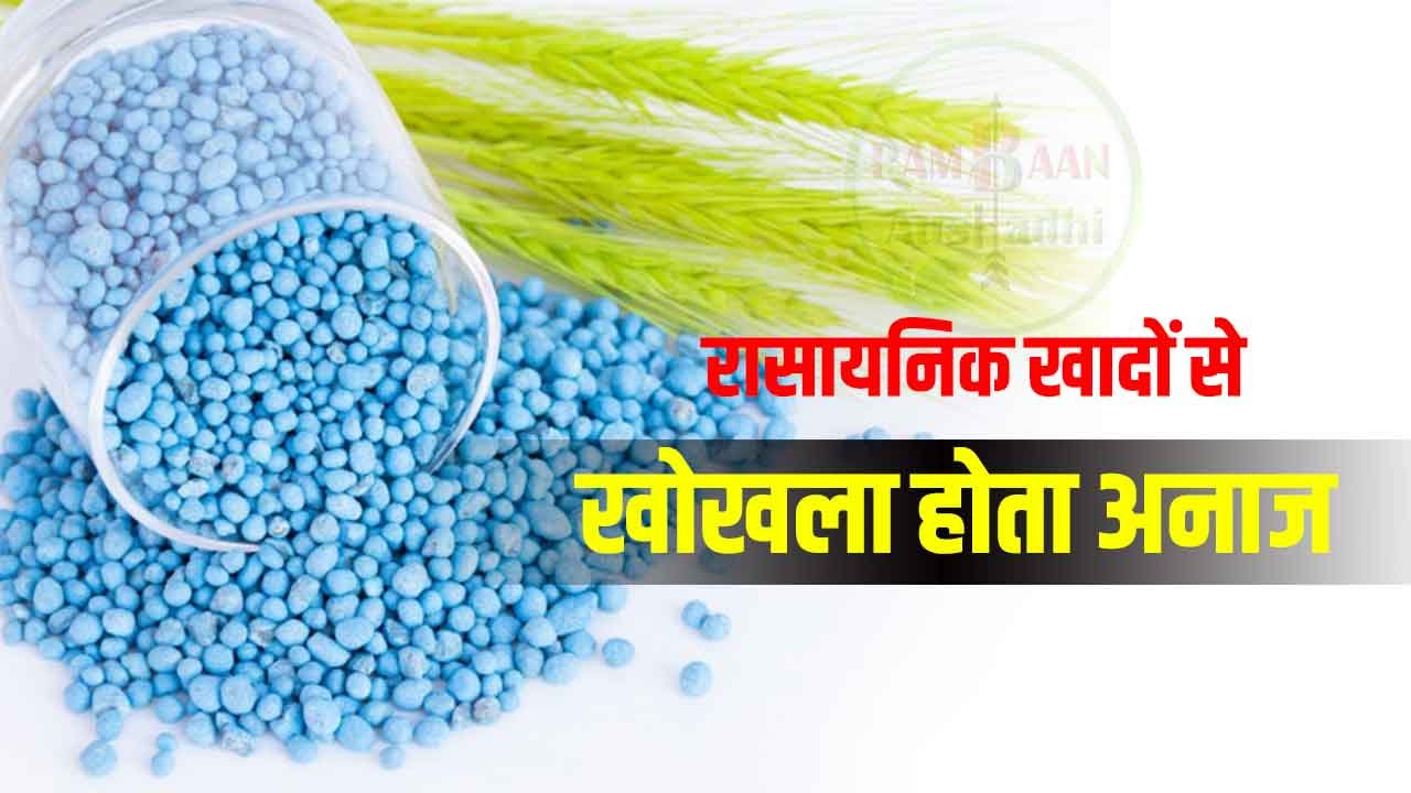 Harm from chemical fertilizers