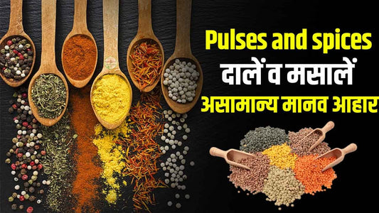 Pulses and spices