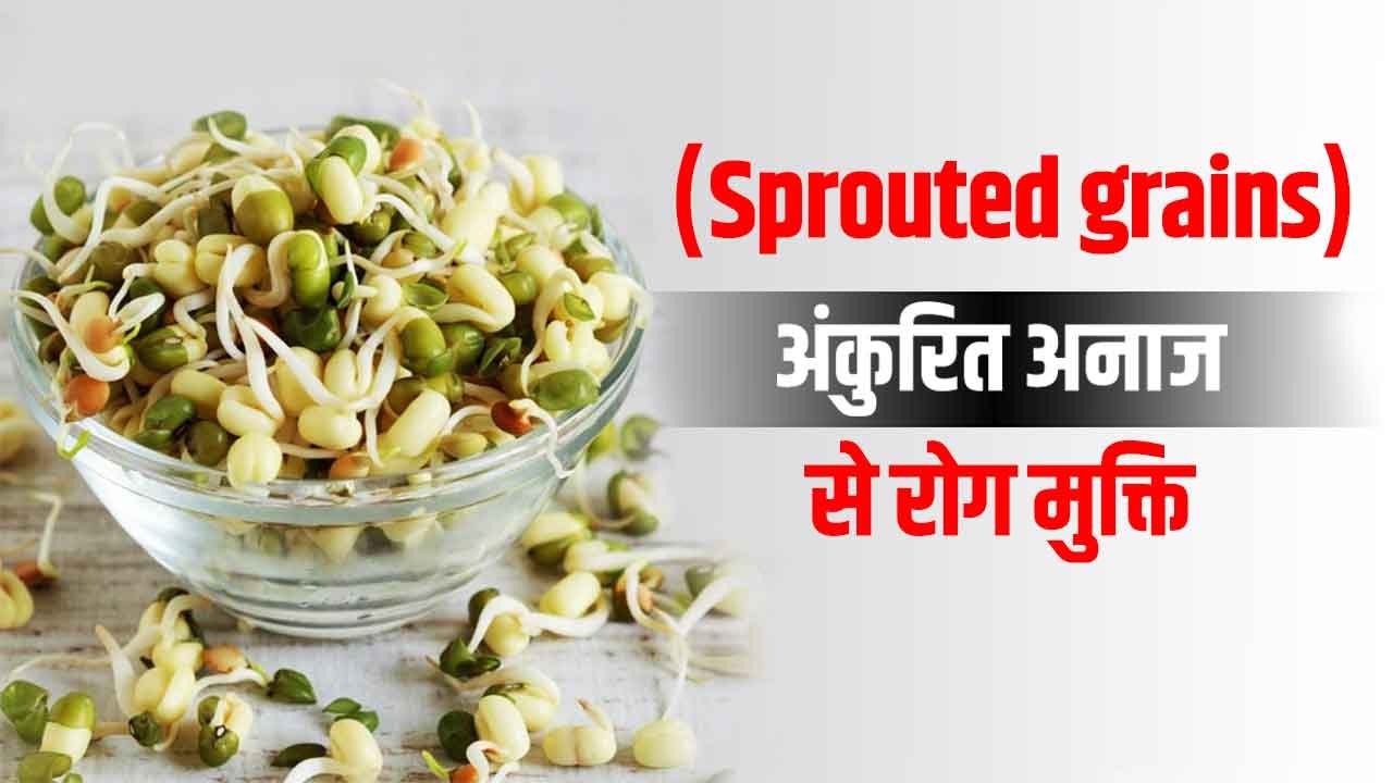 अंकुरित अनाज (Sprouted grains)से रोग मुक्ति – Rambaan Aushadhi