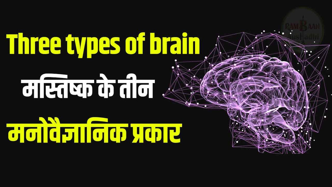 Three types of brain