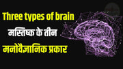 Three types of brain