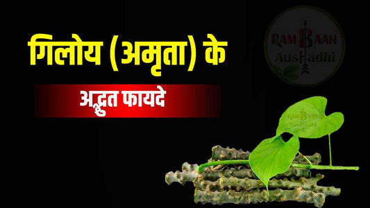 गिलोय (अमृता) के अद्भुत फायदे(Benefits of Giloy)