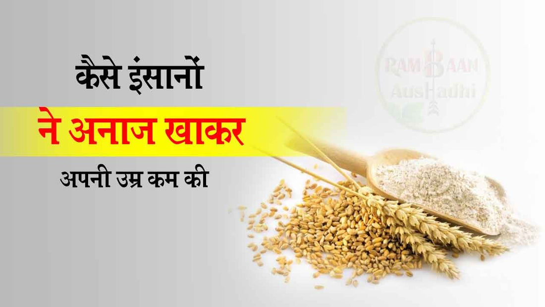 कैसे इंसानों ने अनाज खाकर (eating-grains)अपनी उम्र कम की