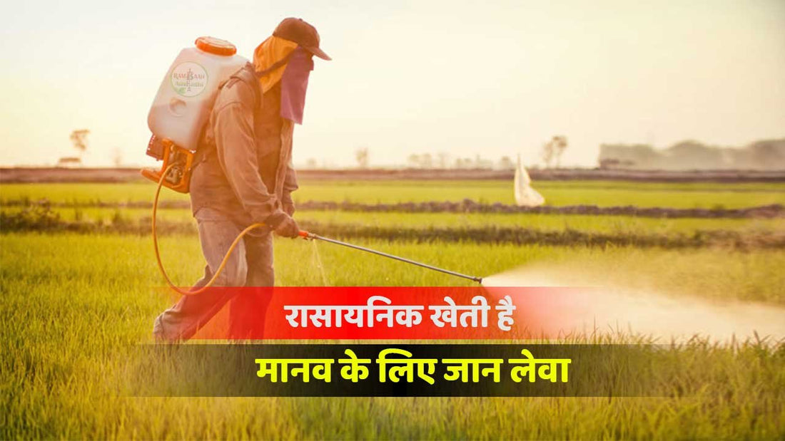 क्या रासायनिक खेती मानव जाति के लिए हानिकारक(Harmful chemical farming)है? आपको जानकर हैरानी होगी!