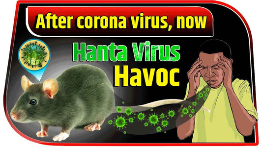 After Corona Virus, Now Hanta Virus Havoc