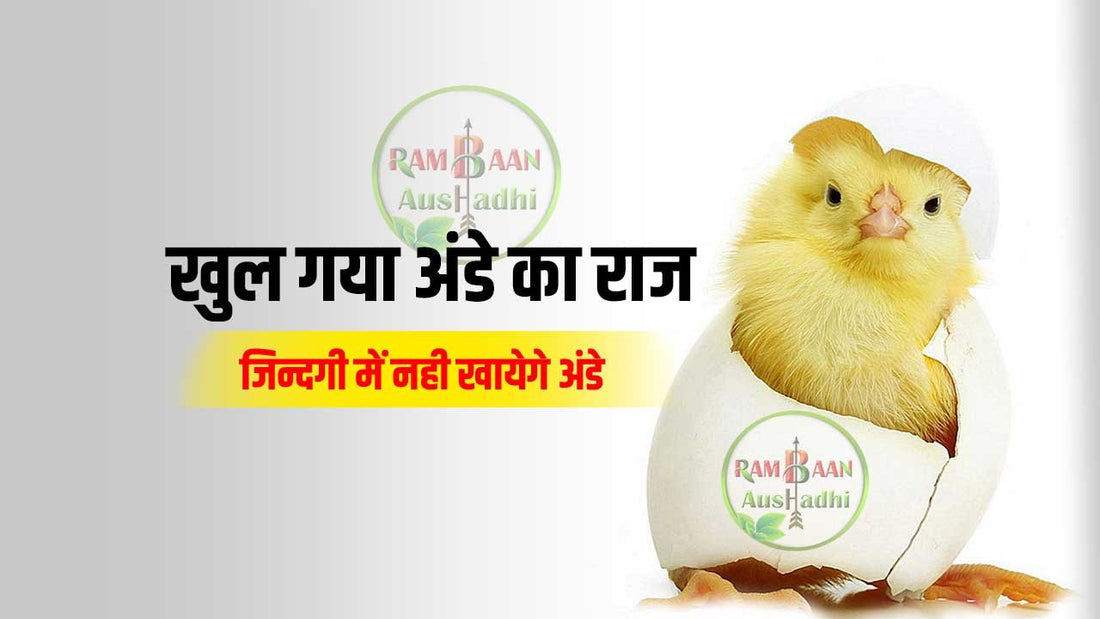 खुल गया अंडे का राज (Egg Side Effects) इसे देखने के बाद जिन्दगी में अंडे नही खायेंगे आप!