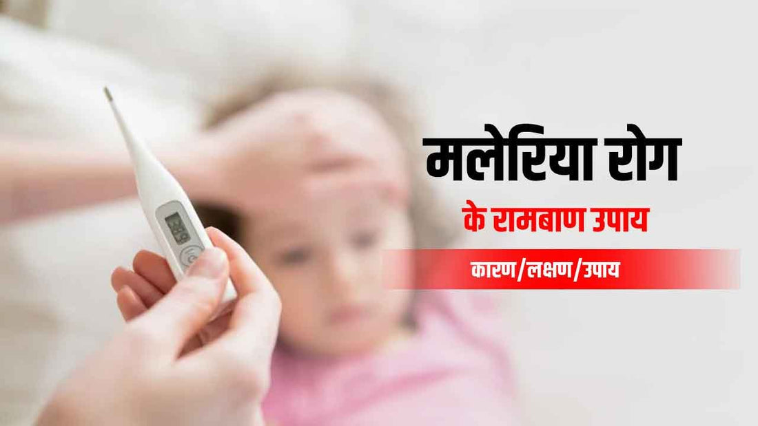 मलेरिया (Malaria)रोग के 6 आसान घरेलू उपाय