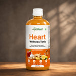 Load image into Gallery viewer, Heart Wellness Tonic 555ml — Natural Heart &amp; Lipid Support | Apple Garlic Ginger Lemon Honey
